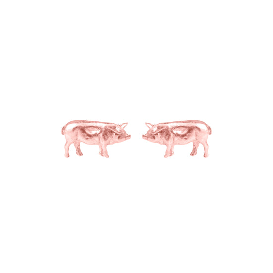 Load image into Gallery viewer, Farmyard Pig studs

